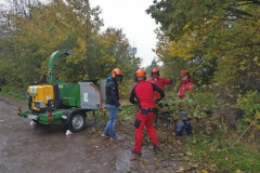 arbeitsdienst-haecksler